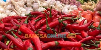 Cabai Besar Alami Lonjakan, Simak Update Harga Sembako Surabaya Hari Ini Kamis 6 November 2025