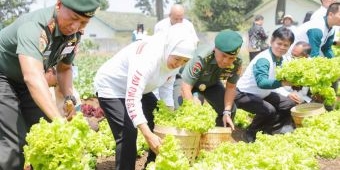 Bersama Pangdivif 2 Kostrad, Gubernur Khofifah Tanam 10 Ribu Pohon dan Panen Tanaman Holtikultura
