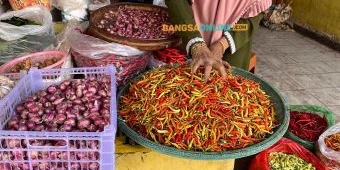 Update Harga Sembako Jatim 13 Oktober 2025: Rawit Turun, Cabai Besar Naik Tipis