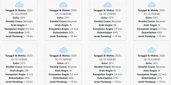 Prakiraan Cuaca Jember Hari ini Rabu, 19 Februari 2025: Suhu 23-31 °C, Kecepatan Angin 3.57 m/s