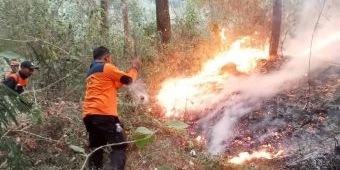 Kebakaran Gunung Lawu Meluas ke Jawa Tengah, BNPB-BPBD Lakukan ini