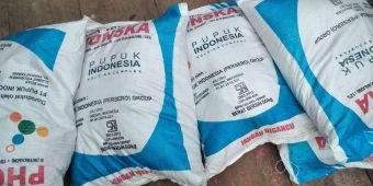 Kios Pupuk Subsidi di Desa Mander Tuban Diduga Tak Bagikan Jatah ke Petani Selama 13 Tahun