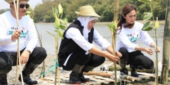 Gubernur Khofifah Ajak Masyarakat Sedekah Oksigen Lewat Gerakan Tanam Mangrove