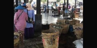Hilangkan Bau Limbah, Dinas PU Cipta Karya Lamongan Rabat Beton Pasar Ikan