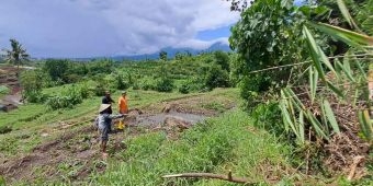 Longsor Giripurno Rusak Lahan Pertanian