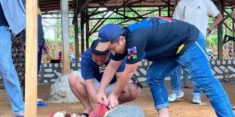 Gerebek Sabung Ayam di Sampang, 8 Terduga Pelaku Dilepas Polisi