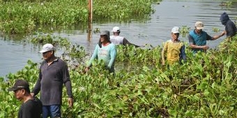 Upaya Pertahankan Swasembada Pangan, Pemkab Lamongan Siapkan Langkah Atas Kekeringan