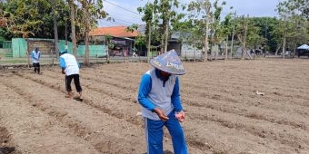 Dukung Ketahanan Pangan, Lapas Kelas I Surabaya Libatkan Warga Binaan Tanam Jagung di Lahan Baru