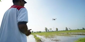 Gerak Cepat Pemkab Kediri Tanggapi Aduan Lahan Padi yang Terendam Banjir di Merjoyo  Purwoasri