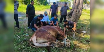 Pertama Kalinya, Ketua DPRD Pasuruan Sembelih Hewan Kurban di Kantor Dewan