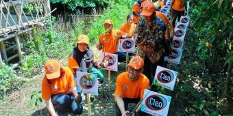 Cleo Tanam 5.000 Bibit Mangrove di Wonorejo Surabaya
