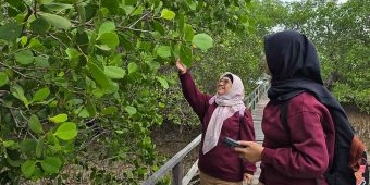 Labuhan Kuning Bangkalan Bangkit Lewat Wisata Mangrove dan Energi Konservasi PHE WMO