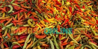 Perubahan Harga Pangan Jabar Hari Ini: Cabai Besar, Keriting dan Rawit Turun Semua