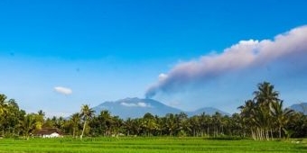 Dampak ​Erupsi Gunung Raung, 440 Hektare Area Pertanian di Banyuwangi Rusak