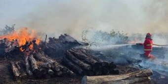 Lahan Kilang Minyak Tuban Terbakar, Tim Damkar Gabungan Turun Tangan