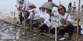 Gubernur Khofifah Ajak Masyarakat Terus 'Nandur' di Festival Mangrove Jatim VIII Bangkalan