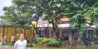 Pohon di Sekitar Gedung DPRD Kabupaten Pasuruan Perlu Perantingan