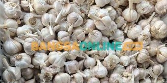 Update Harga Sembako Jatim 16 Desember 2025: Bawang Putih Naik, Cabai Keriting dan Rawit Turun