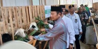 Upaya Dongkrak Sektor Peternakan, Baznas Luncurkan Balai Ternak Domba di Lamongan