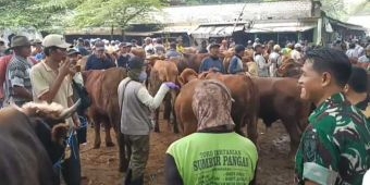Jelang Idul Adha, Pengawasan Hewan Ternak di Tuban Diperketat