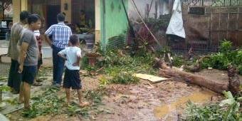 Puting Beliung Hantam Pamekasan, 16 Rumah Rusak