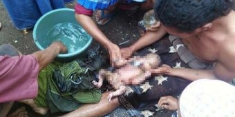 Orok Bayi di Septic Tank WC Umum Desa Kalisat Gegerkan Warga