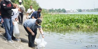 ​Jaga Kelestarian, Bupati Kediri Tebar 50.000 Benih Ikan di Sungai Brantas