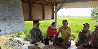 Dampingi Petani Tanggulangi Hama, UPT PTPH Dinas Pertanian Jatim Dorong Penggunaan Bahan Organik
