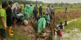 Cegah Banjir, Warga Babaksari Gresik Gotong Royong Perbaiki Tanggul Bengawan Solo