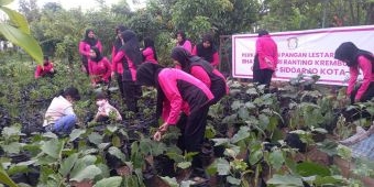 Dukung Ketahanan Pangan, Polsek Krembung dan Bhayangkari Cek Program P2L di Desa Lemujut