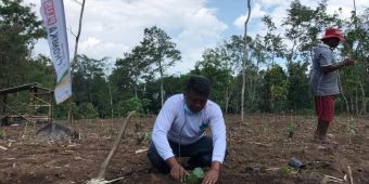 Ketua HKTI Jember Sulap Lahan Kering Menjadi Lahan Produktif dan Sebagai Tempat Edukasi