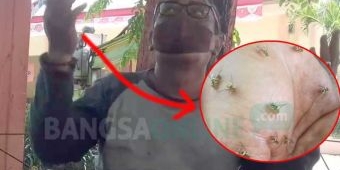 Heboh Manusia Klanceng di Probolinggo: Hanya Tepuk Tangan, Lebah Berdatangan