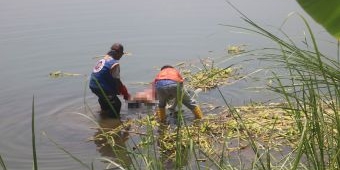 Jasad Pria Ditemukan Mengambang di Sungai Brantas Usai Tiga Hari Menghilang