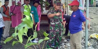 Tanam Pohon, Danramil Tandes Berharap Bisa Kurangi Polusi