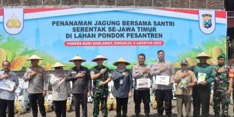 Forkopimda Sidoarjo Tanam Jagung Serentak di Ponpes Bumi Sholawat