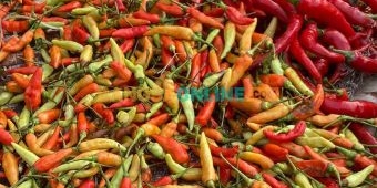 Harga Pangan Jabar Minggu 3 Agustus 2025, Cabai Rawit Turun Rp5 Ribu