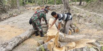Inspiratif, Penganut Kejawen di Ngawi Sedekahkan 40 Pohon Jati untuk Renovasi Masjid Dusun