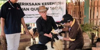 PT SBI Salurkan 24 Hewan Kurban untuk Warga Tuban pada Iduladha 2026