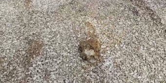 Pengeboran Sumur Air di Bangkalan Keluarkan Cairan Mudah Terbakar, Petugas Lakukan Pengamanan