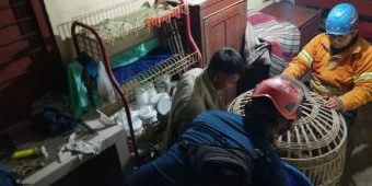 Monyet Lepas dan Serang Dua Warga Jombang, Damkar Butuh 1,5 Jam untuk Evakuasi