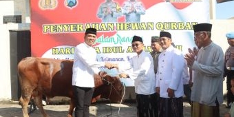 Polresta Sidoarjo Lakukan Pemotongan dan Penyaluran 35 Sapi dan 55 Kambing Kurban 1446 H
