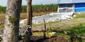Temuan Tumpukan Limbah B3 di Jombang, Dewan Minta Pihak Terkait Turun Tangan