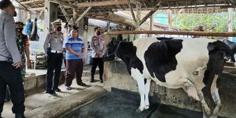Kabupaten Blitar dapat 13.000 Vaksin Ternak