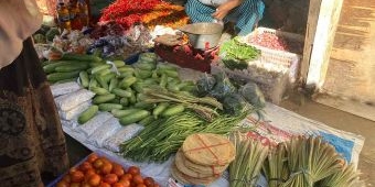 Ikan Teri Hari Ini Naik, Simak Perubahan Harga Sembako Jatim 7 Mei 2025