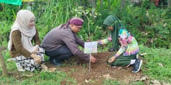 HPN 2025, PWI Jombang gandeng DLH Tanam Ratusan Pohon