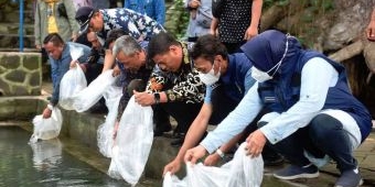 Peringati Hari Ikan Nasional ke-9, Wali Kota Kediri Tebar Benih Ikan di Sumber Jiput