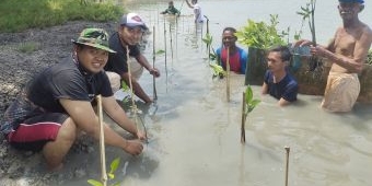 PT Cargill Gresik Kembali Tanam 1.000 Mangrove di Kalimireng