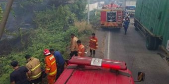 Kemarau Ekstrem, 21 Titik Kebakaran Ilalang Terjadi di Gresik dalam Sepekan