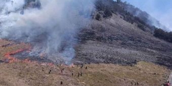 Terkait Kebakaran Bukit Teletubbies Bromo, Dimungkinkan Masih Ada Tersangka Lain