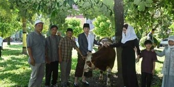 Bupati Trenggalek Serahkan 2 Sapi Kurban, 1 dari Presiden Prabowo dan Lainnya untuk Korban Longsor